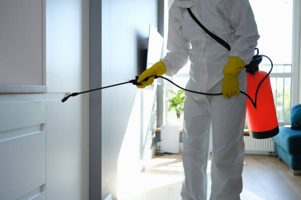 Best Mold Remediation  in Warrenton, MO